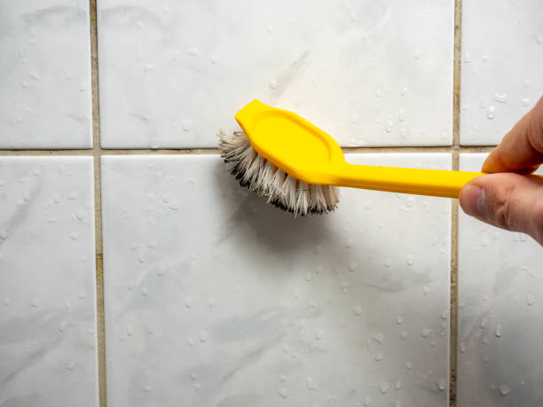 Mold Testing and Removal in Algonquin, MD