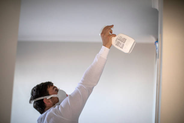 Best Office Mold Removal Services  in Algonquin, MD