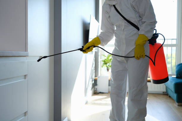 Best Residential Mold Removal  in Algonquin, MD