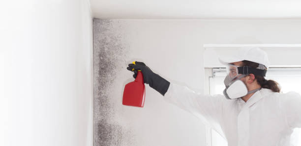 Best Emergency Mold Removal  in Algonquin, MD